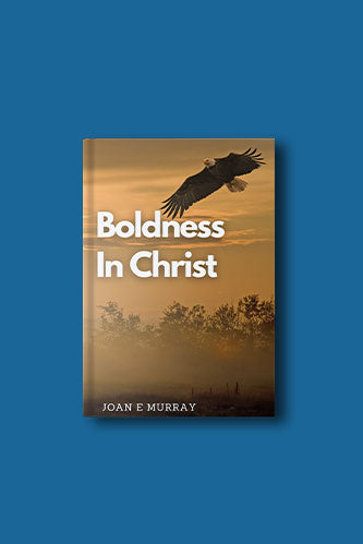 Boldness in Christ